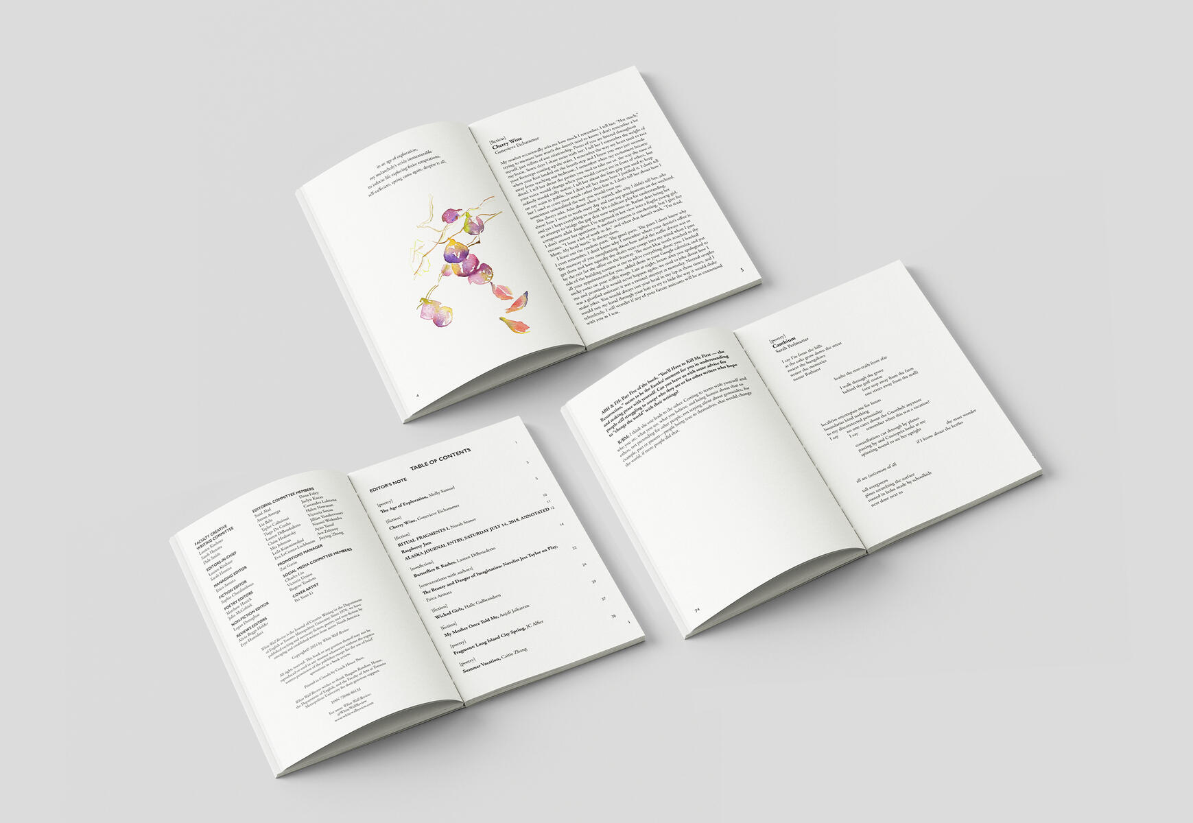 The White Wall Review Issue 53 Interior, Typesetting