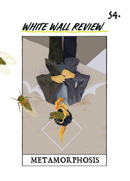 Cover for the White Wall Review Issue 53 (published by TMU).